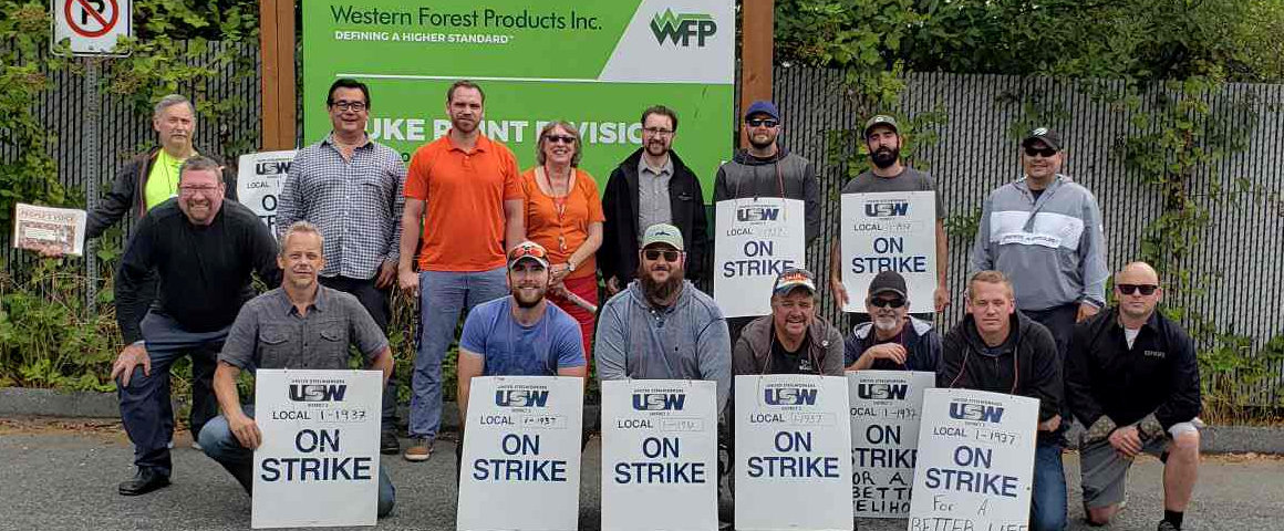 Forestry workers down saws to stop cuts