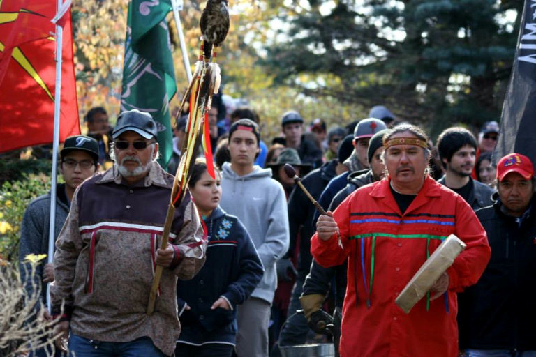 East coast Indigenous nation asserts right to harvest wood