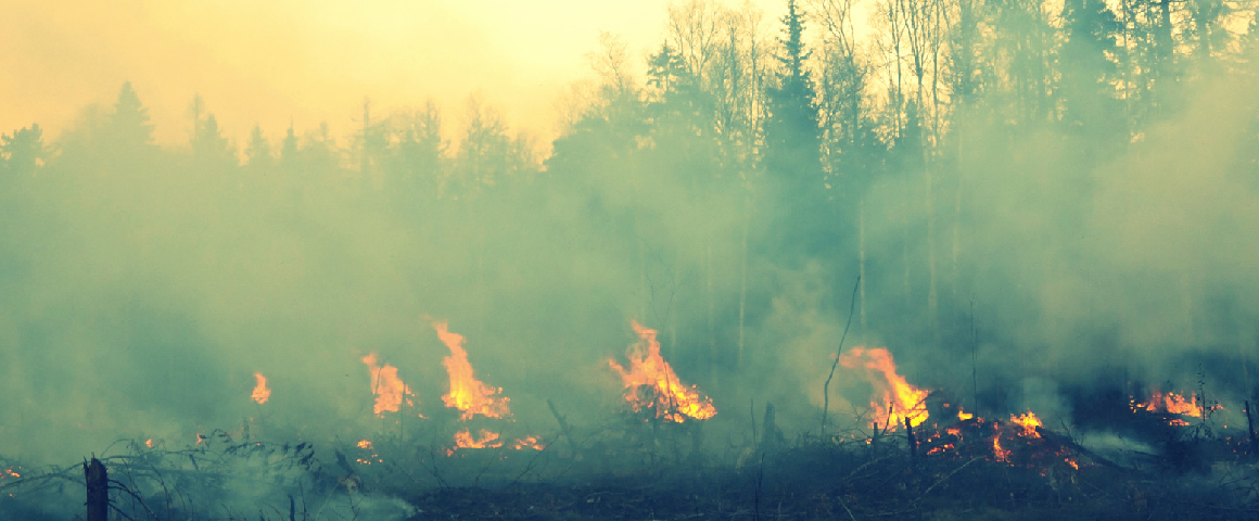 Wildfires a result of corporate-led and unsustainable approach to resource development